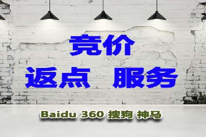 SEM代理案例：优化策略助力企业增长